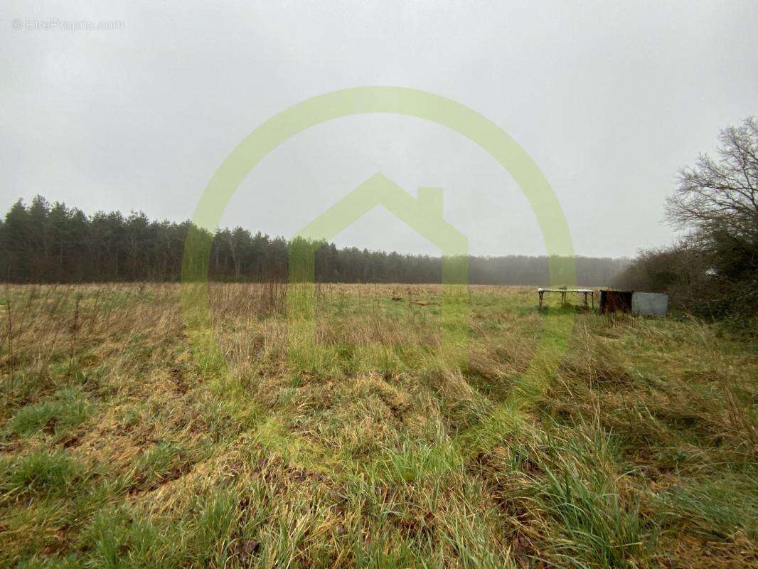 Maison à LIGNEROLLES