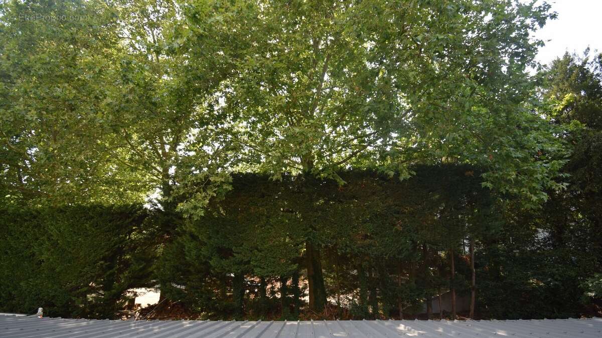 À VENDRE - Appartement T5 122,89 m² avec terrasse proche des Parcs - photo 6
