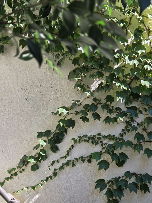 Maison à PUISSERGUIER