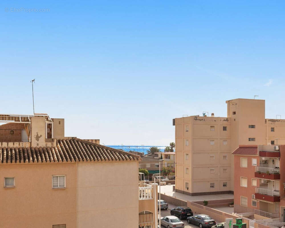 Studio vue mer à La Mata, Alicante, Espagne - photo 9