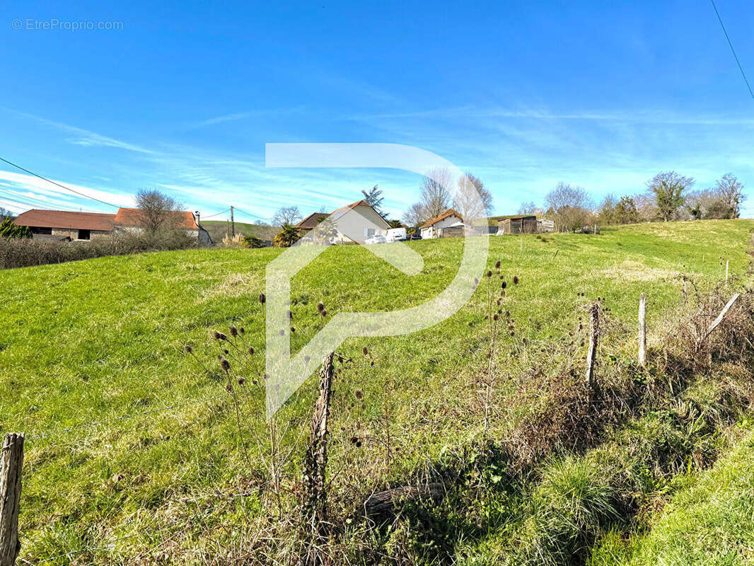 Terrain à VIELLESEGURE