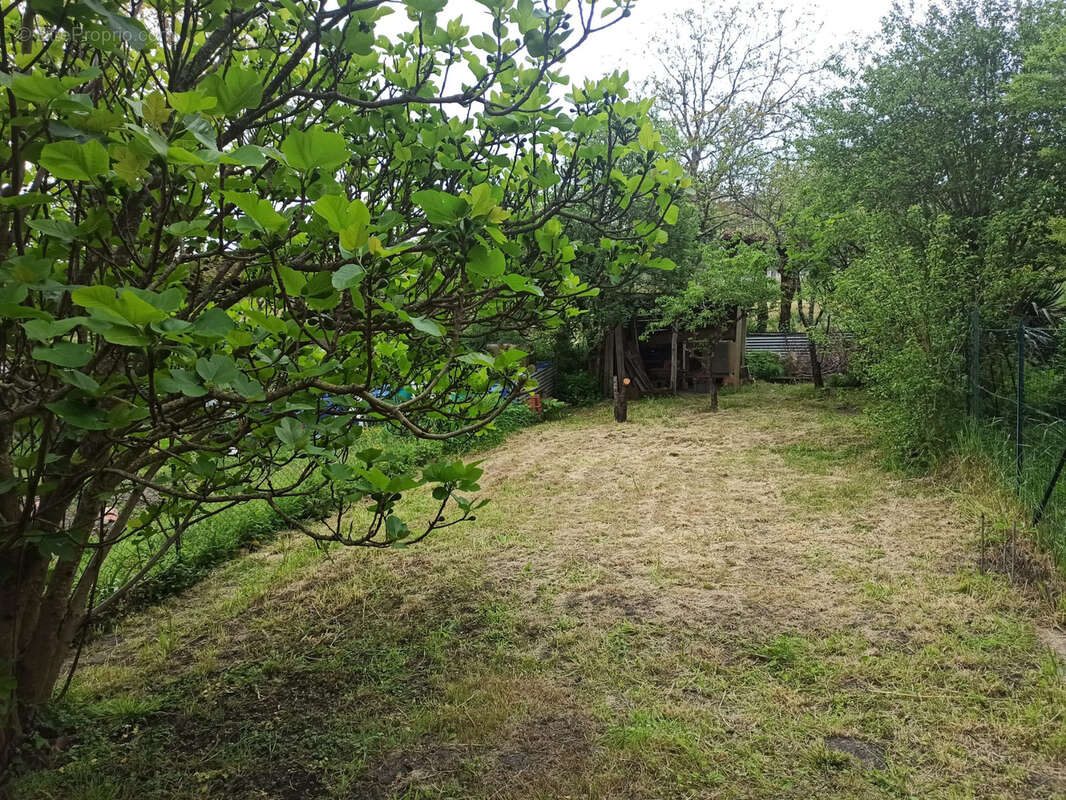 Maison à ROQUECOURBE