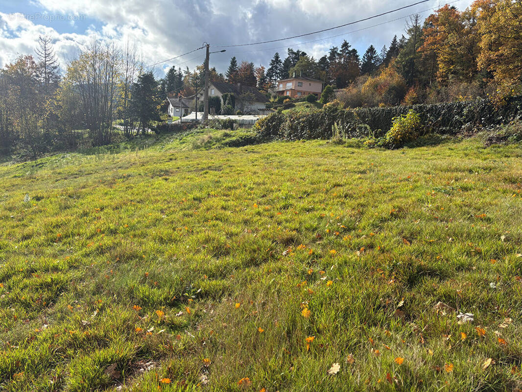Terrain à SAINT-AME