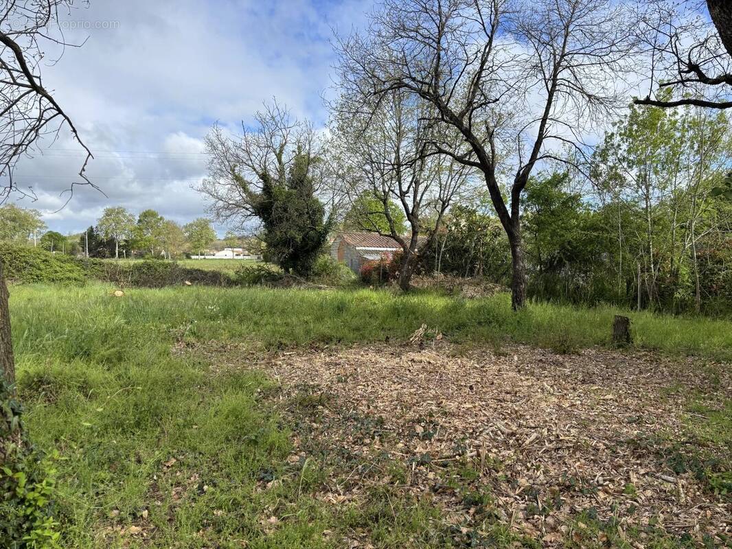 Terrain à PLAISANCE-DU-TOUCH
