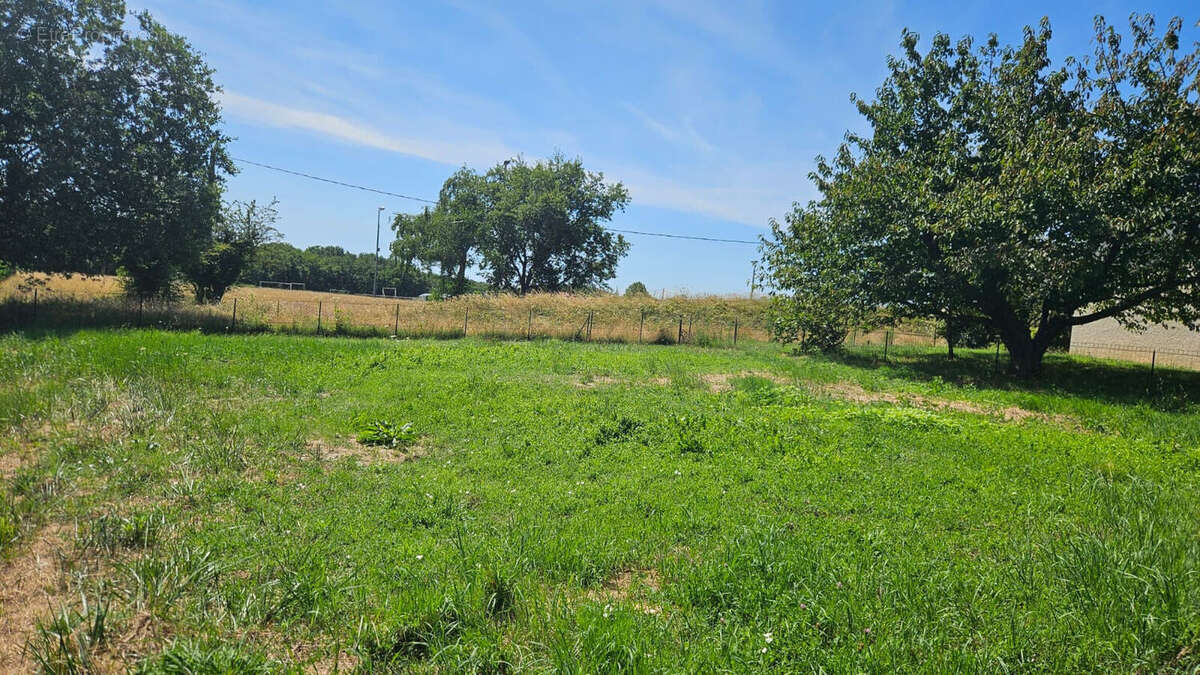 Photo 3 - Terrain à SAINT-CYR-SUR-LE-RHONE