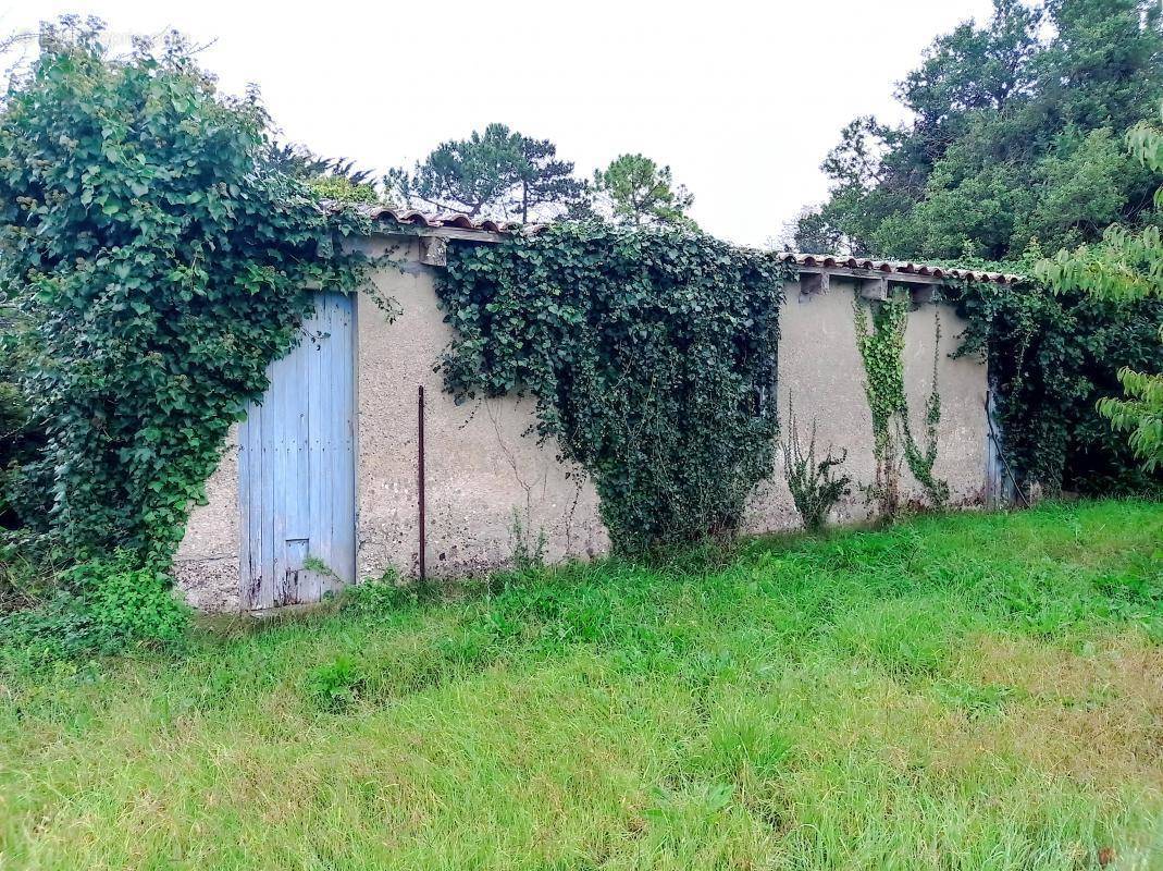 Terrain à MESCHERS-SUR-GIRONDE