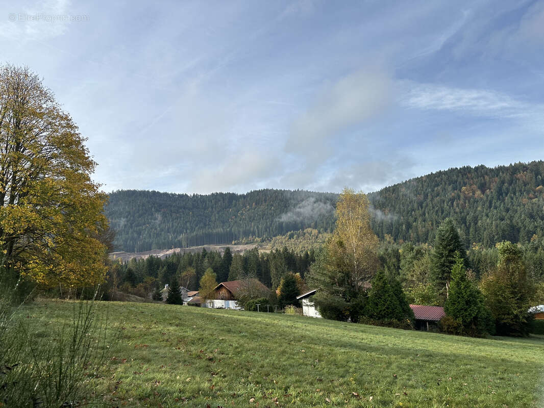 Terrain à GERARDMER