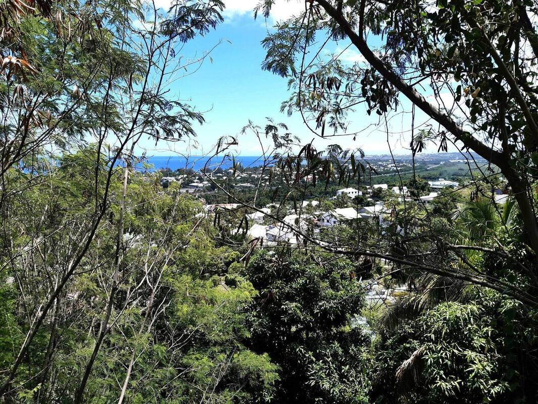 Terrain à SAINT-DENIS