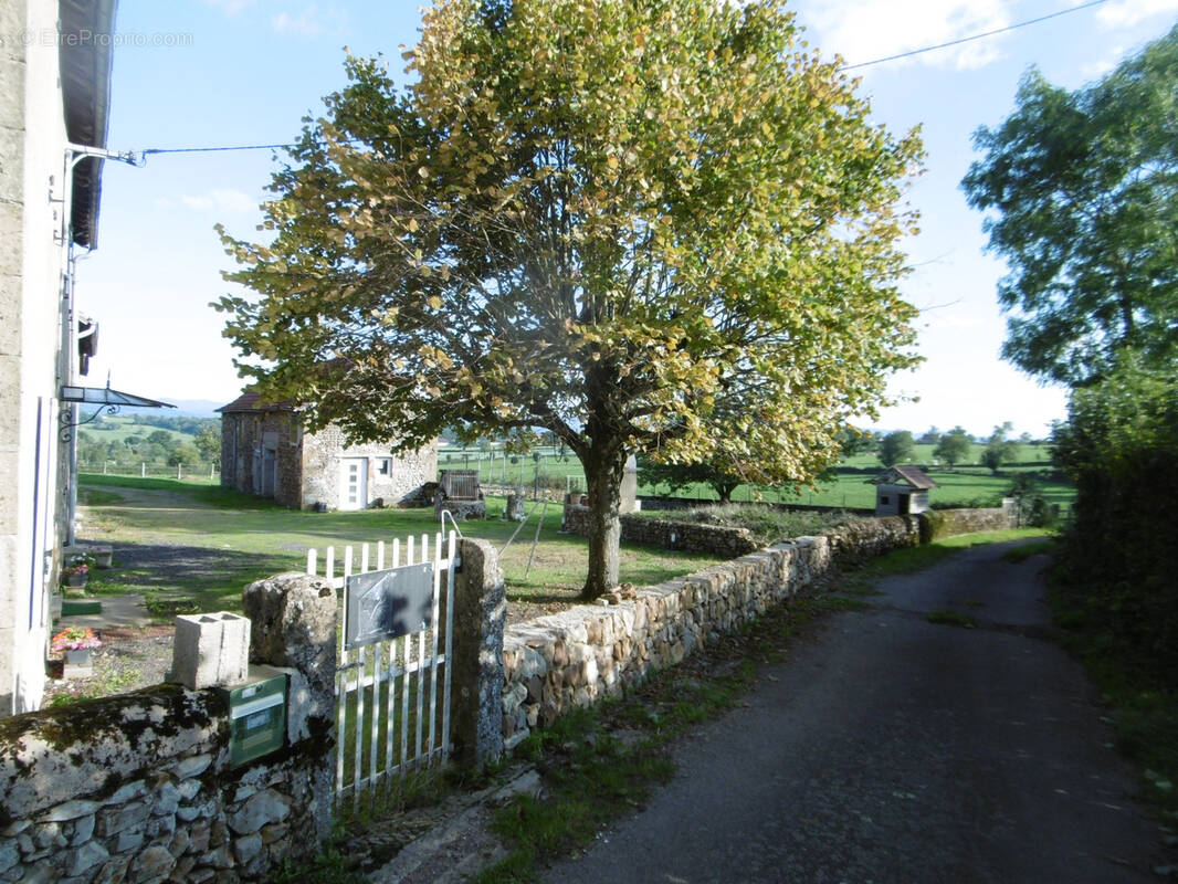 Maison à SAINT-CHRISTOPHE-EN-BRIONNAIS