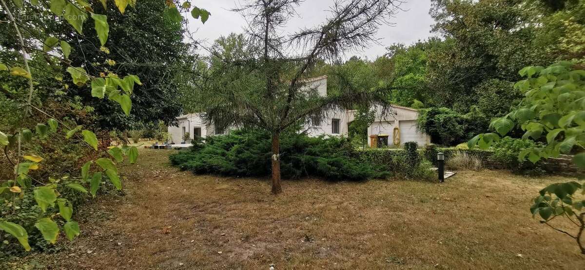 Vente de 2 maisons (1er 160 m² de type F4 + 2ème 46 m² de type F3) au milieu de son terrain de 16600 m² ! - photo 3