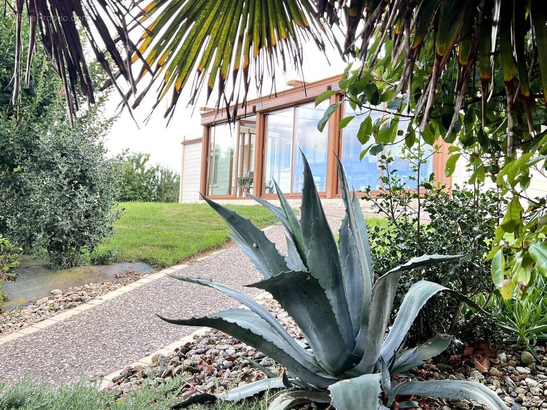 Photo 1 - Maison à LONGEVILLE-SUR-MER