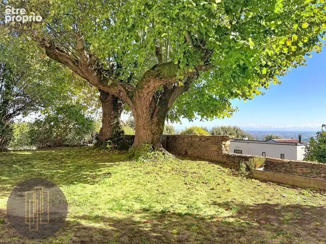 Poleymieux-au-Mont-d'Or – Propriété de caractère sur 1 049 m² terrain - photo 4