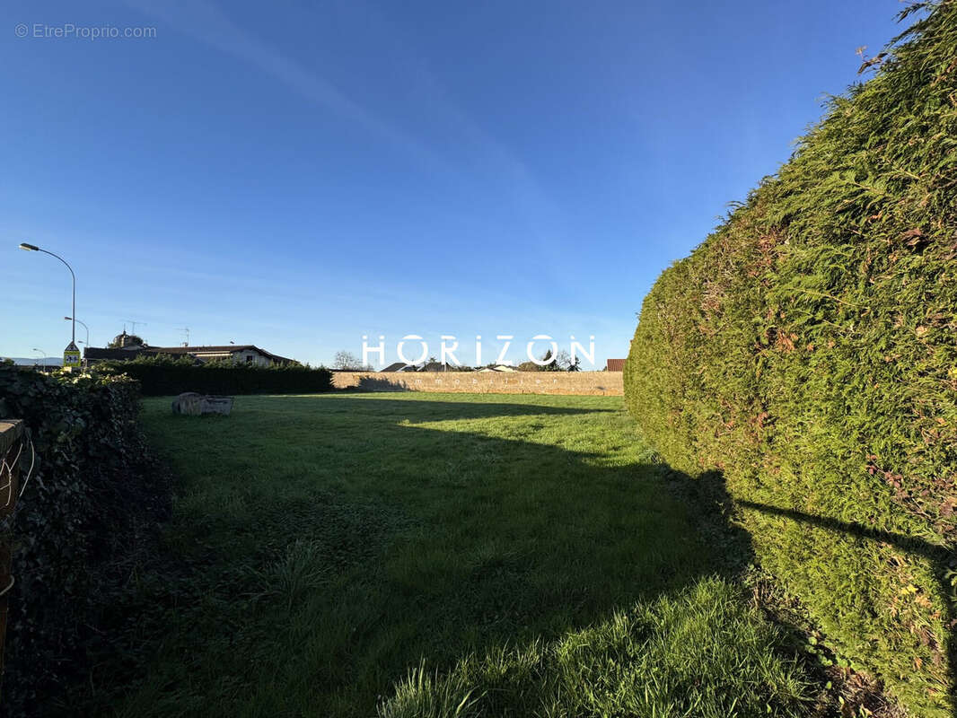 Terrain à SAINT-DIDIER-SUR-CHALARONNE