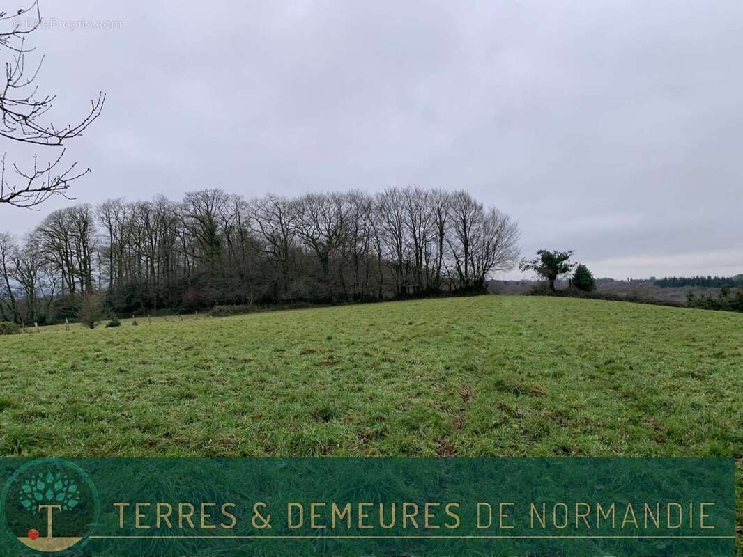 Terrain à SOURDEVAL