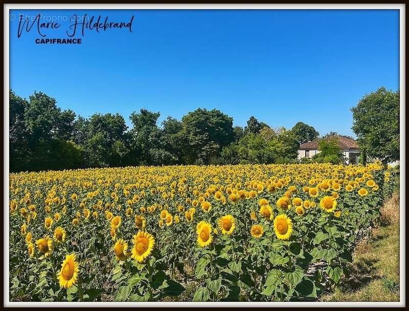 Maison à SAINT-CLAR