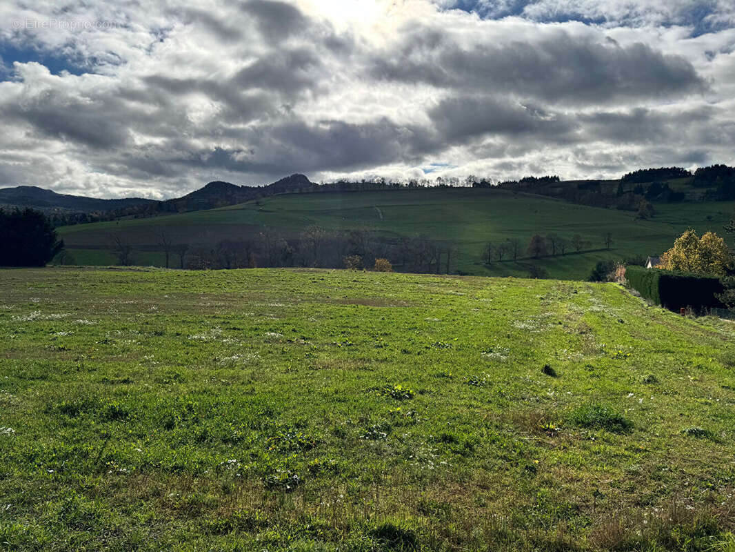 Terrain à YSSINGEAUX