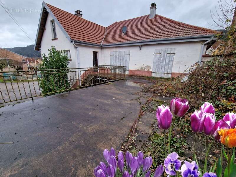 Appartement à SCHIRMECK