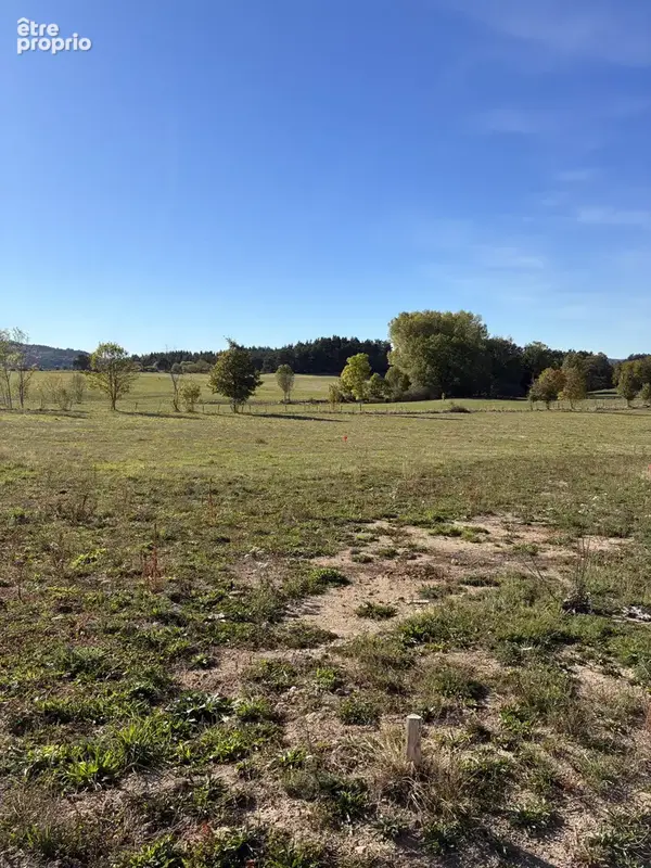 Terrain constructible viabilisé et loti - proche yssingeaux - photo 3