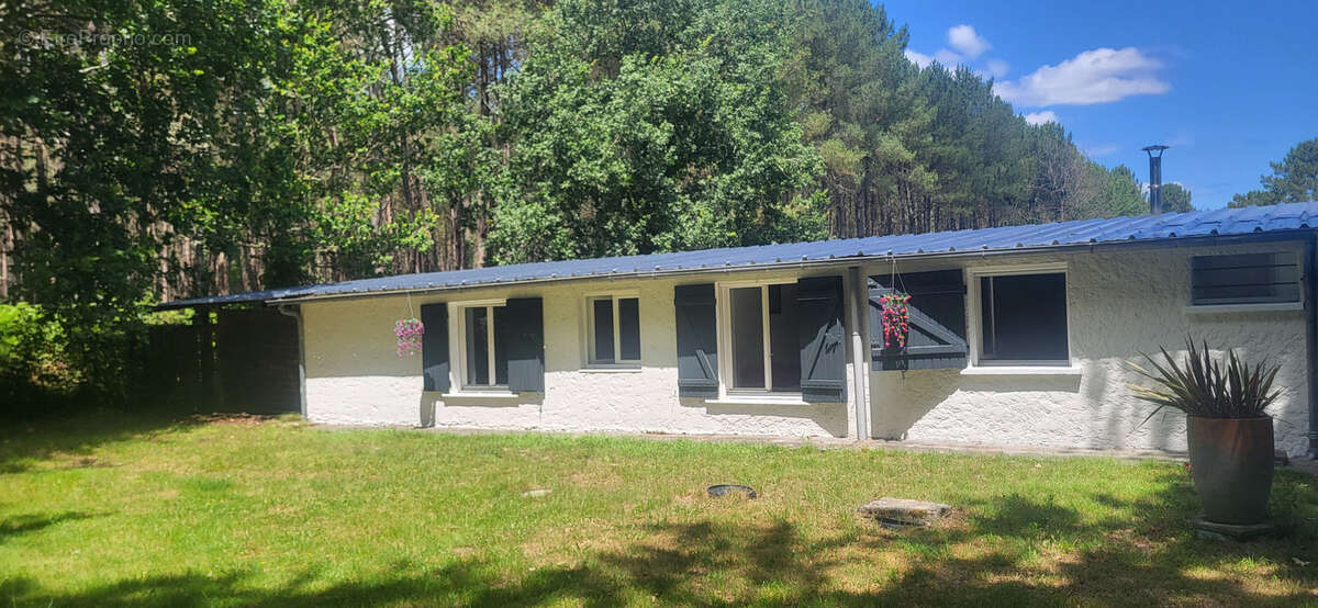 Maison à vendre 5 pièces principales + dépendances et piscine - brach - photo 10