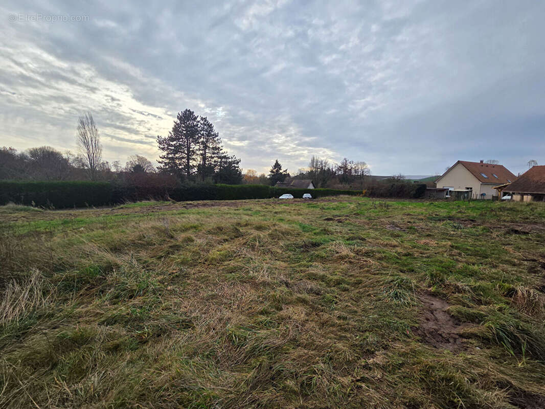 Terrain à LE LANDIN