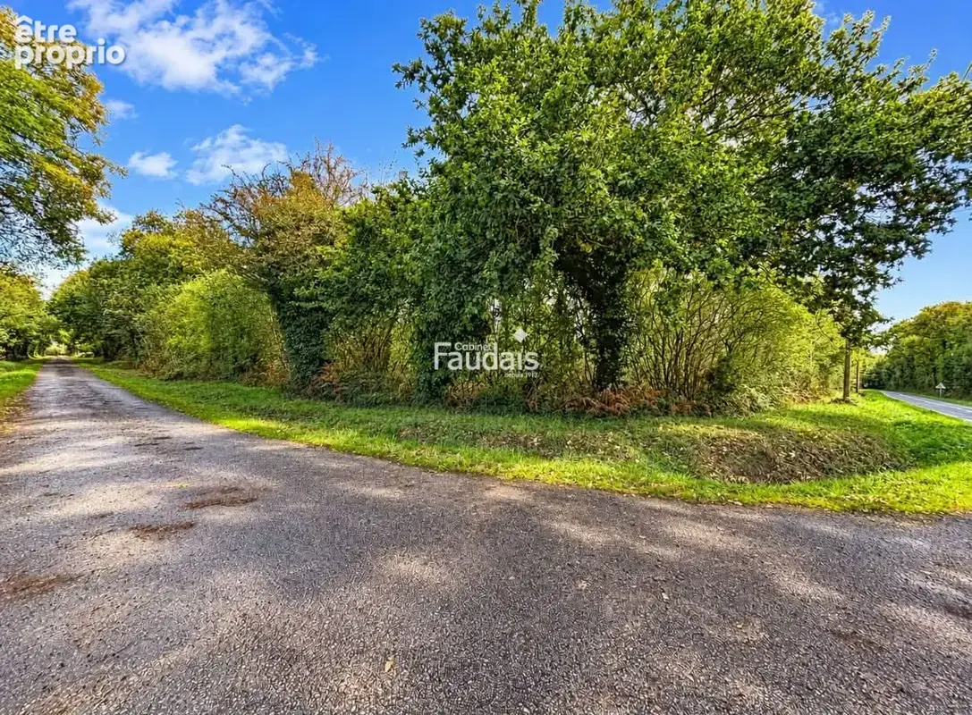 Terrain 9 725 m² à vendre à Baudreville (50250) - photo 3
