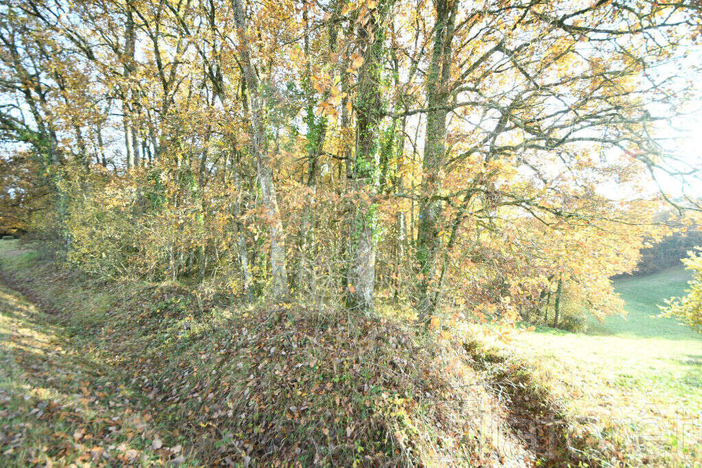 Terrain à SALVAGNAC