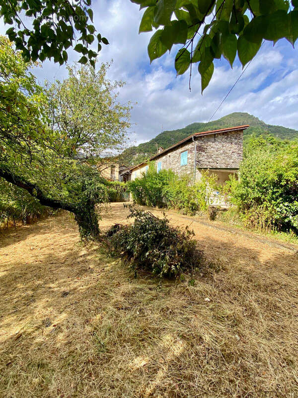 Centre village - photo 22