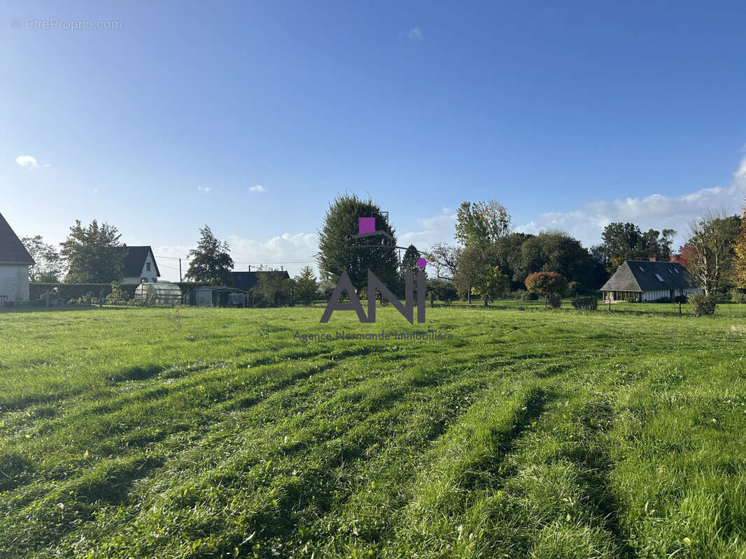 Terrain à MESNIL-PANNEVILLE