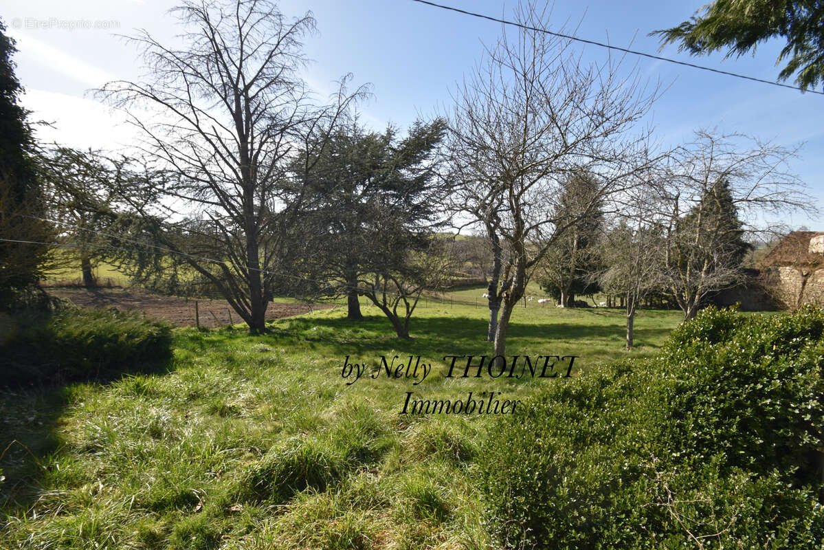Dépt.23. DONTREIX, ANCIEN CORPS DE FERME en pierre, 7 pièces, dépendances, terrain de 8 774 m2 - photo 18