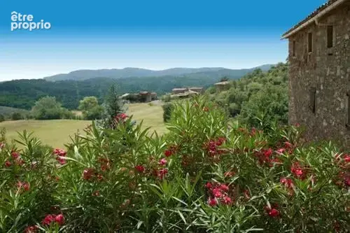 MAS DE 847 m2 sur 20 hectares. - photo 8