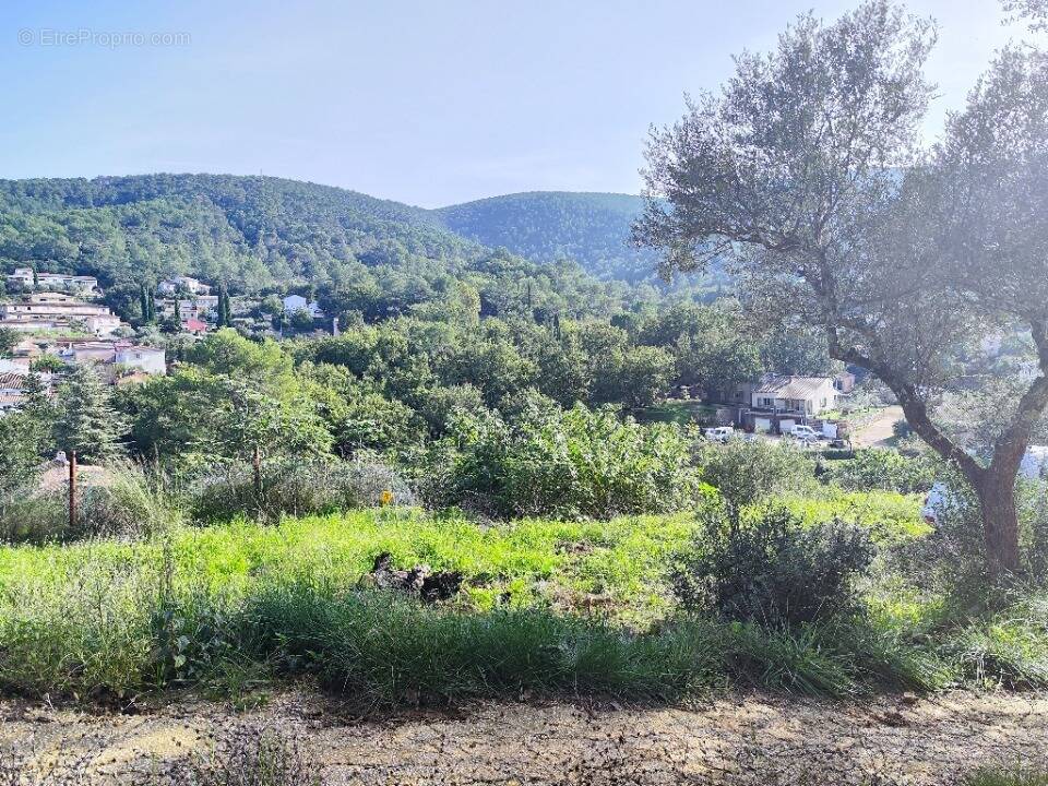 Terrain à SOLLIES-TOUCAS