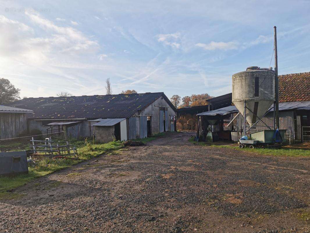 Maison à FAVERDINES