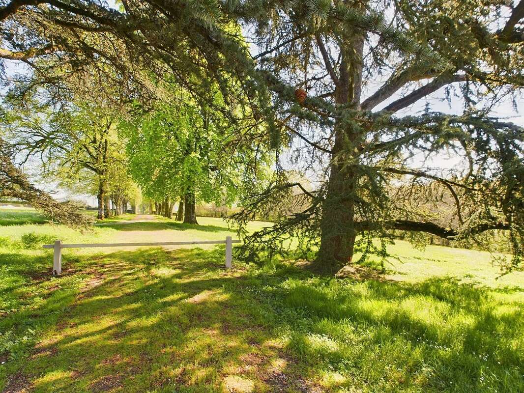 Superbe château du XIXe siècle dans un parc magnifique - photo 17