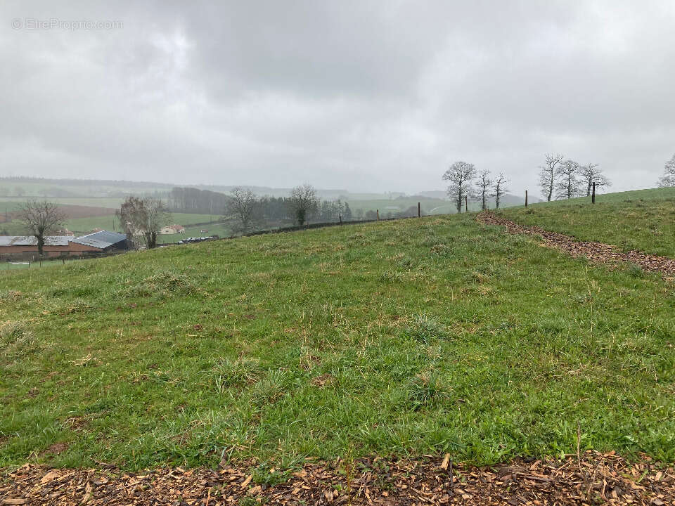 Terrain à LAFEUILLADE-EN-VEZIE