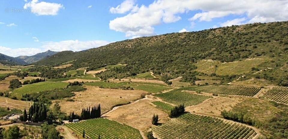 Terrain à ORNAISONS