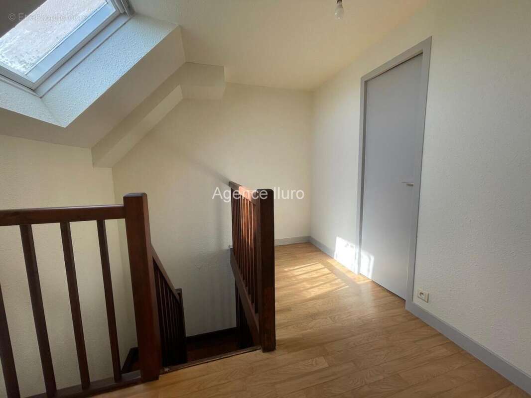 IMG_7141 - Appartement à OLORON-SAINTE-MARIE