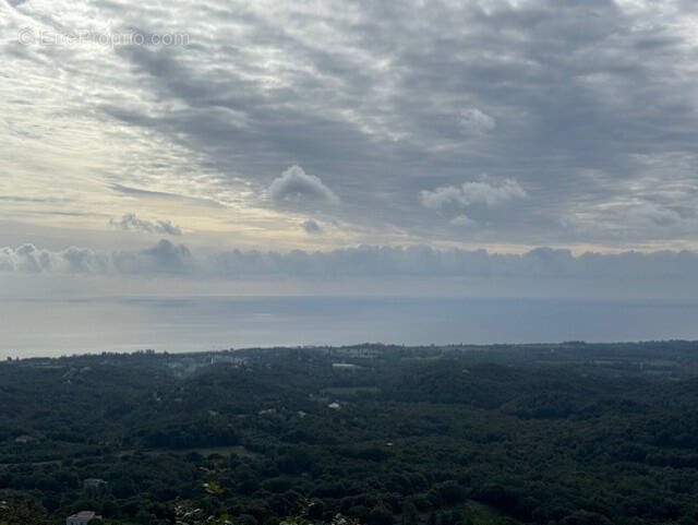 Terrain à CERVIONE