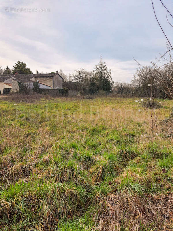 Terrain à PAIZAY-LE-CHAPT