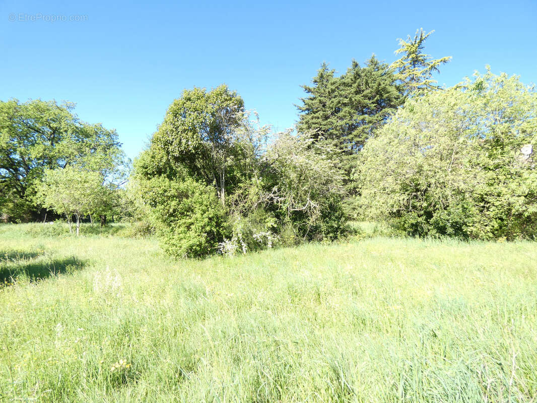 Terrain à CASSAGNOLES