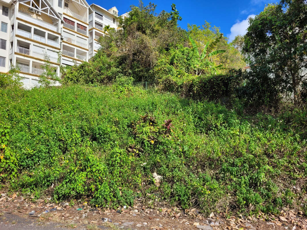 Terrain à LES ABYMES