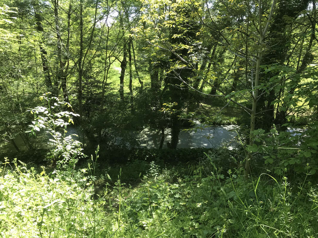 Maison à LAROQUE-TIMBAUT