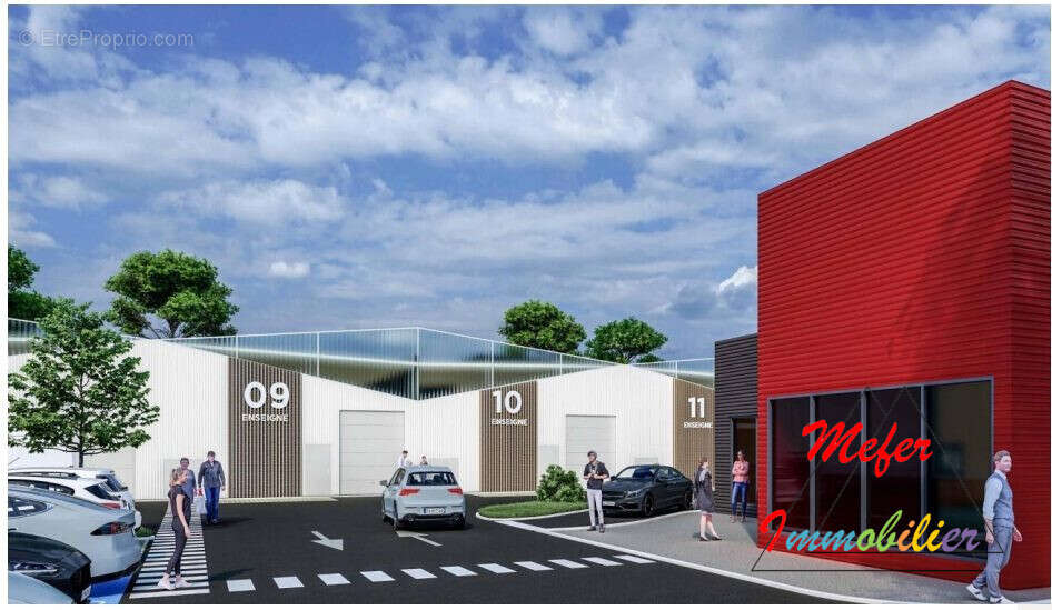 Commerce à PERPIGNAN