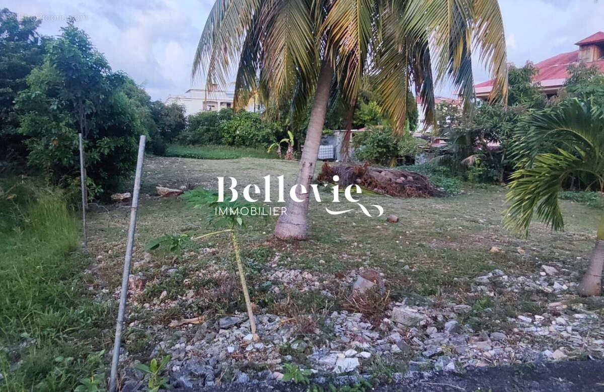 Terrain à ANSE-BERTRAND