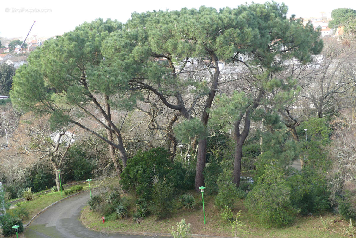 Appartement à ARCACHON