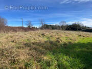 Terrain à SAINT-YRIEIX-LA-PERCHE