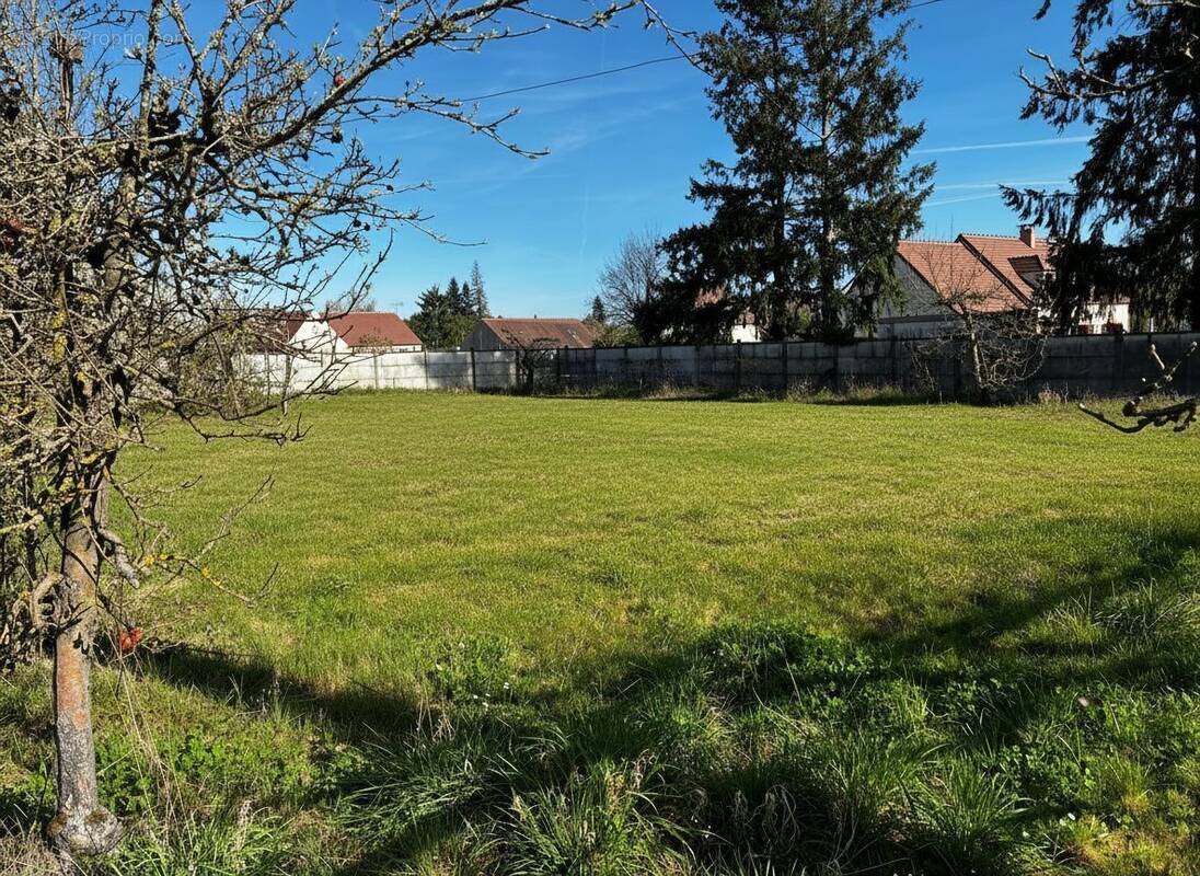 Terrain à SAINT-GONDON