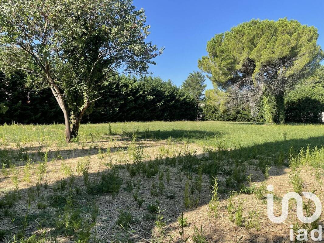 Photo 1 - Terrain à SAINT-REMY-DE-PROVENCE