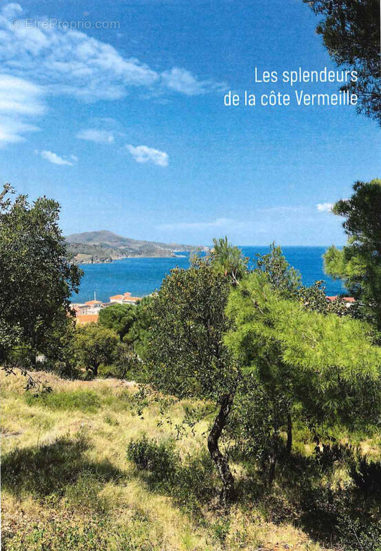 Maison à BANYULS-SUR-MER