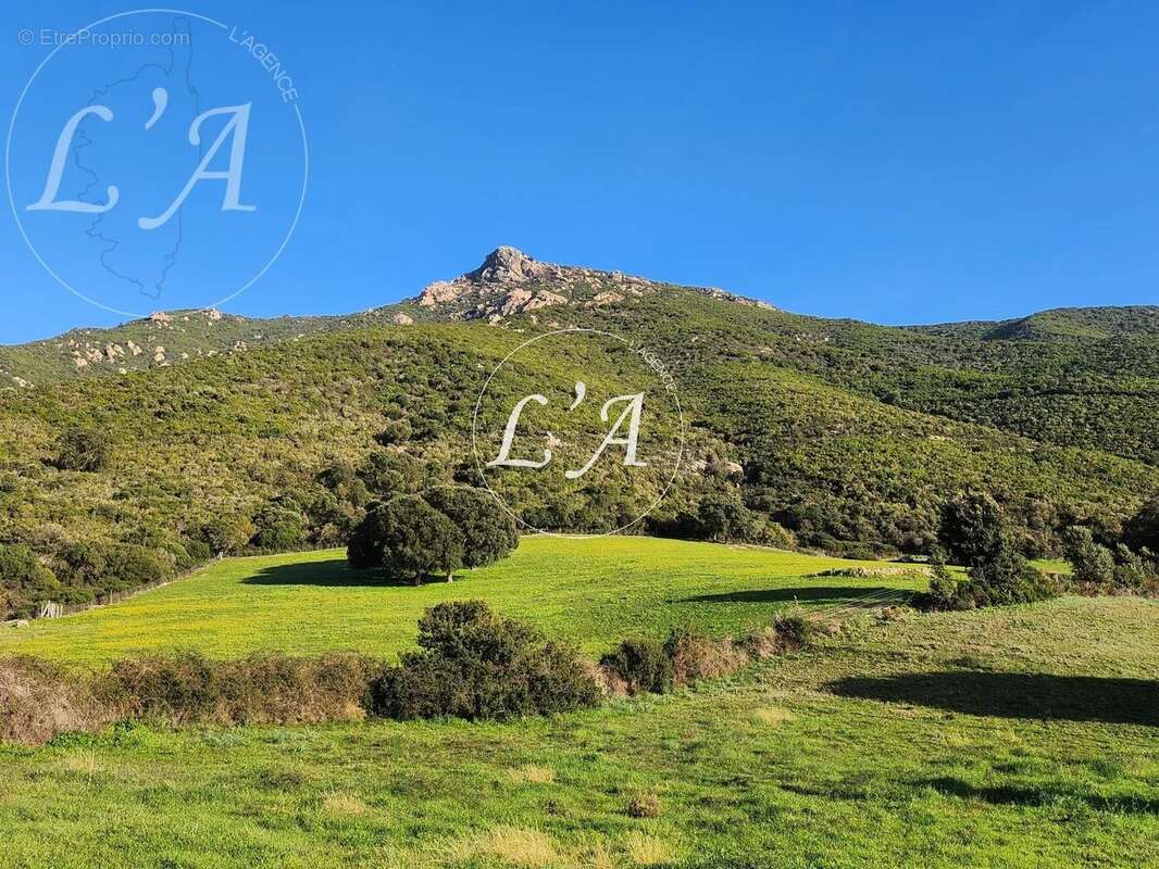 Terrain à BASTELICACCIA