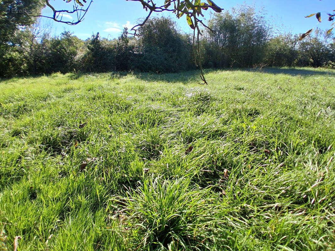 Terrain à LA GRIPPERIE-SAINT-SYMPHORIEN